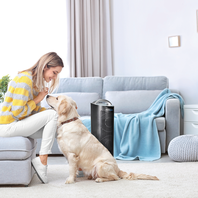 TheraPure HEPA Air Purifier TPP630 Capital Vacuum Raleigh Cary NC