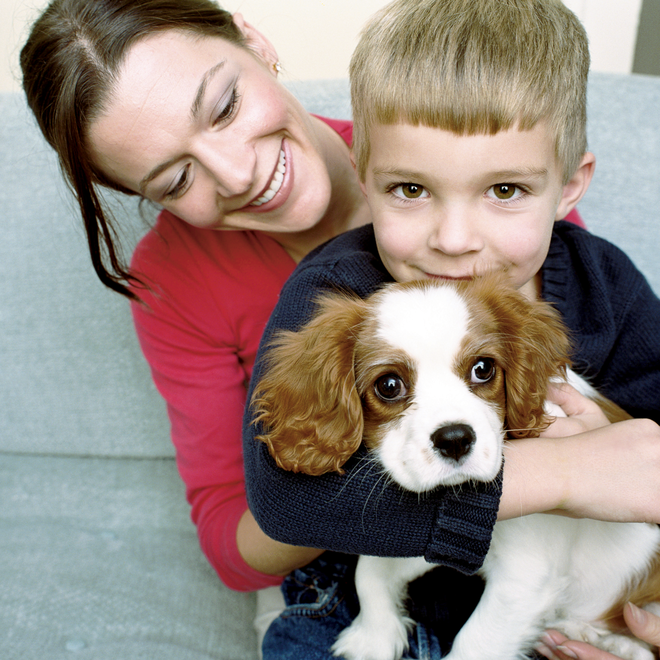 TheraPure HEPA Air Purifier TPP630 Capital Vacuum Raleigh Cary NC