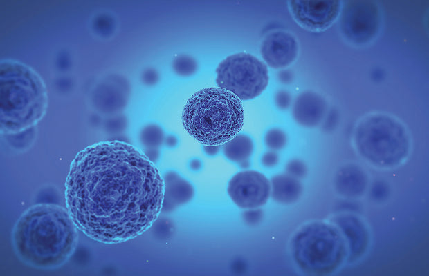 TheraPure HEPA Air Purifier TPP220H Capital Vacuum Raleigh Cary NC