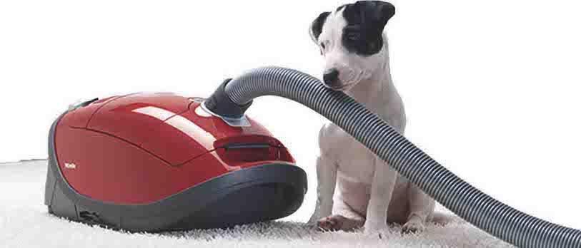 Miele HomeCare Vacuum Raleigh Cary Capital Vacuum Floor-Care World Raleigh Cary