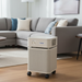 Austin Air Purifier HealthMate  + Plus HM450 - Sandstone Capital Vacuum  Raleigh Cary NC