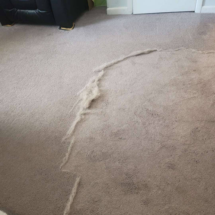 Carpet before after Uproot Clean Uproot Cleaner Pro. Capital Vacuum Raleigh Cary NC