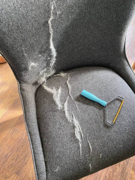 Gray chair with pet hair and a Uproot Clean Pro grooming tool on a chair. Capital Vacuum Raleigh Cary NC