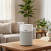 IDEAL air purifier on a wooden table in a living room with plants and a sofa. deal Air Purifier AP40 Air Cleaner Capital Vacuum Raleigh Cary NC