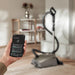 Person holding a smartphone with app controls for a Miele Titanium vacuum cleaner in a living room. Capital Vacuum Raleigh Cary NC