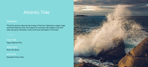 Maison Berger Atlantic Tide Lamp Refill Fragrance - 500 ml (16.9 oz) 415031 Capital Vacuum Raleigh Cary NC