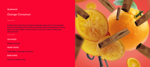 Maison Berger Orange Cinnamon Lamp Refill Fragrance - 500 ml (16.9 oz) 415018 Capital Vacuum Raleigh Cary NC