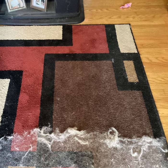 Uproot Clean Pro before and after on geometric carpet. Capital Vacuum Raleigh Cary NC